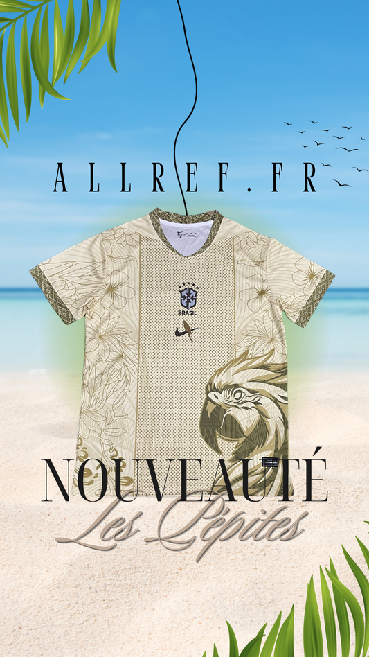 Concept Brésil