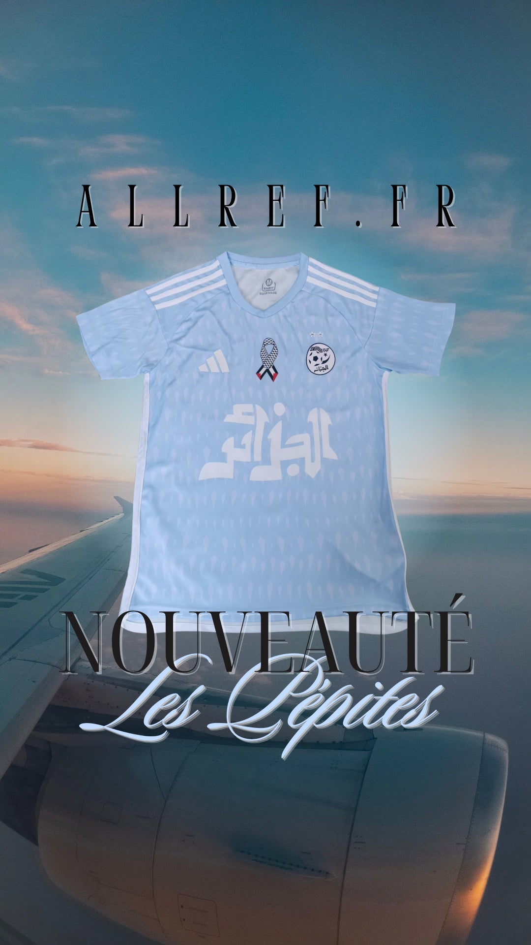 Concept Algérie Palestine