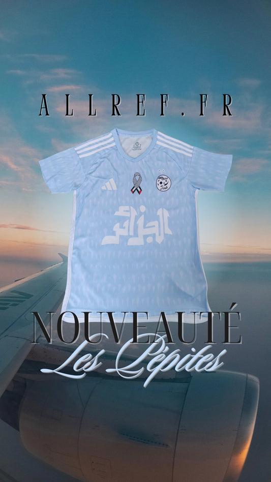 Concept Algérie Palestine