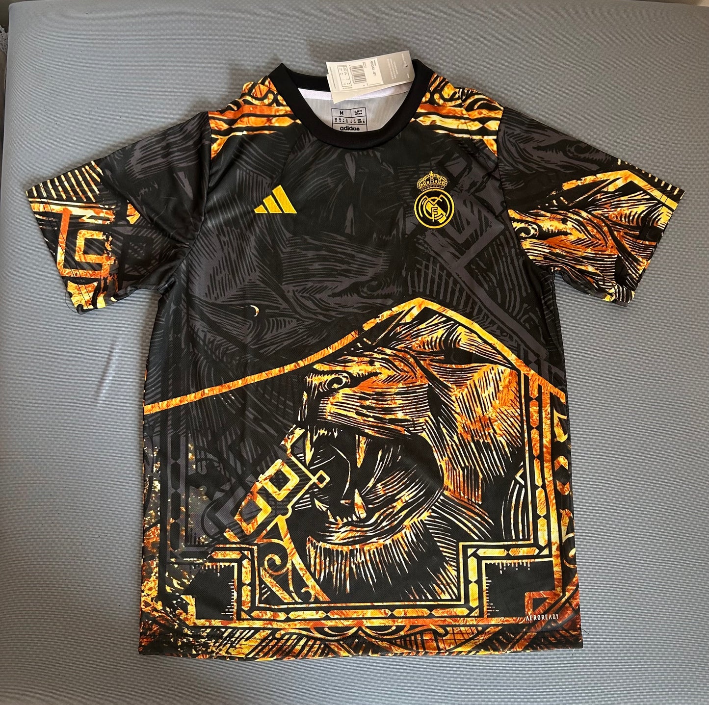 Concept Réal Lion