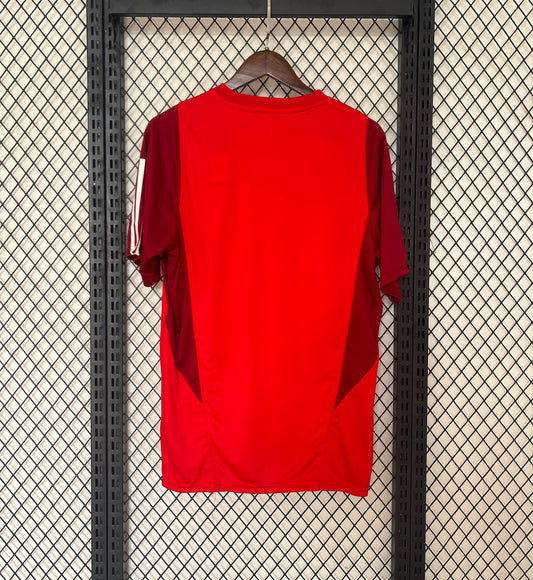 Concept Sport Club Internacional Rouge