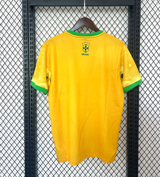 Concept Brésil