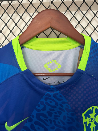 Concept Brésil