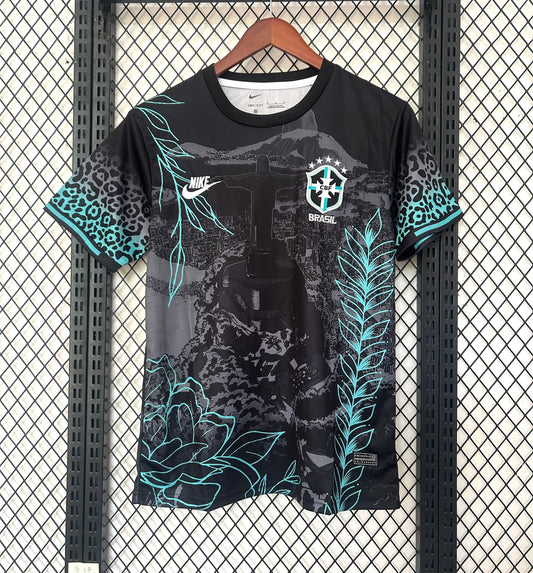 Concept Brésil