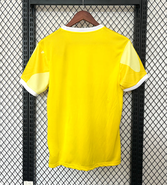 Concept Brésil