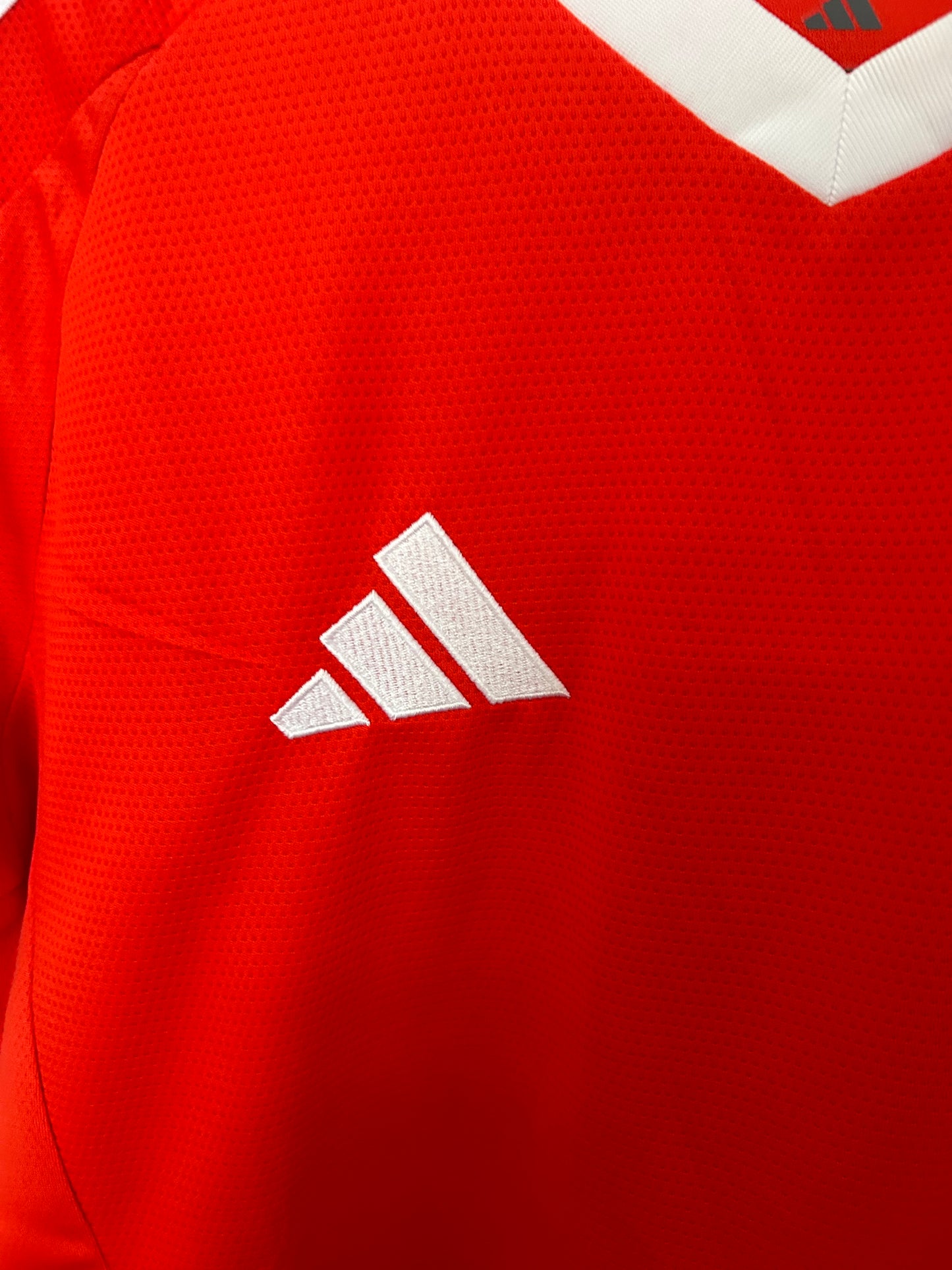 Concept Brésil