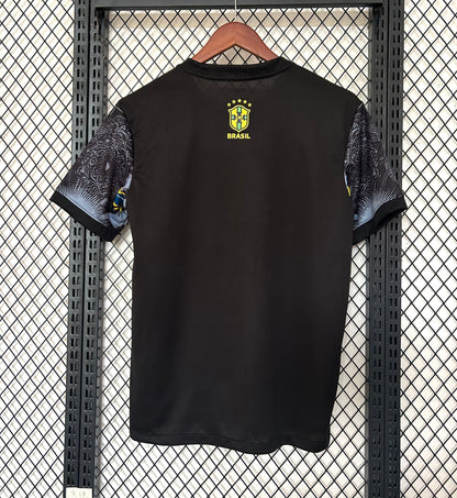 Concept Brésil